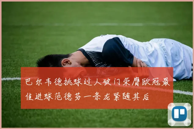 巴尔韦德挑球过人破门荣膺欧冠最佳进球范德芬一条龙紧随其后