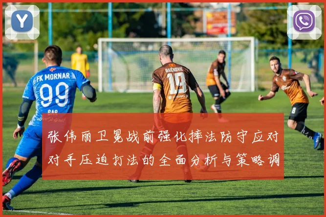 张伟丽卫冕战前强化摔法防守应对对手压迫打法的全面分析与策略调整