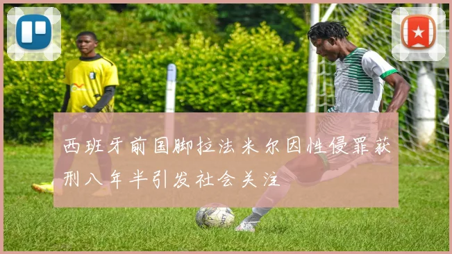 西班牙前国脚拉法米尔因性侵罪获刑八年半引发社会关注