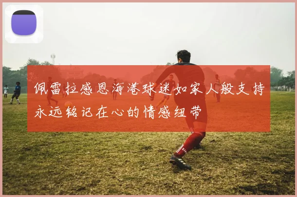 佩雷拉感恩海港球迷如家人般支持永远铭记在心的情感纽带
